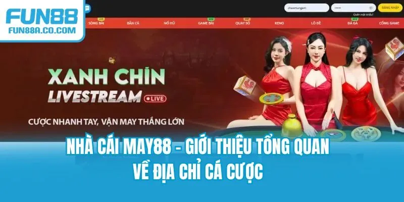 Nhà Cái MAY88 - Giới Thiệu Tổng Quan Về Địa Chỉ Cá Cược
